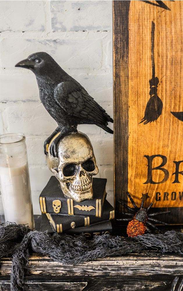 Crow and Skull