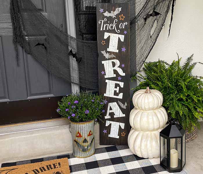 Trick or Treat Starry Bats - 12x48