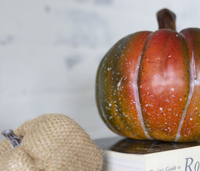 Pumpkin Closeup