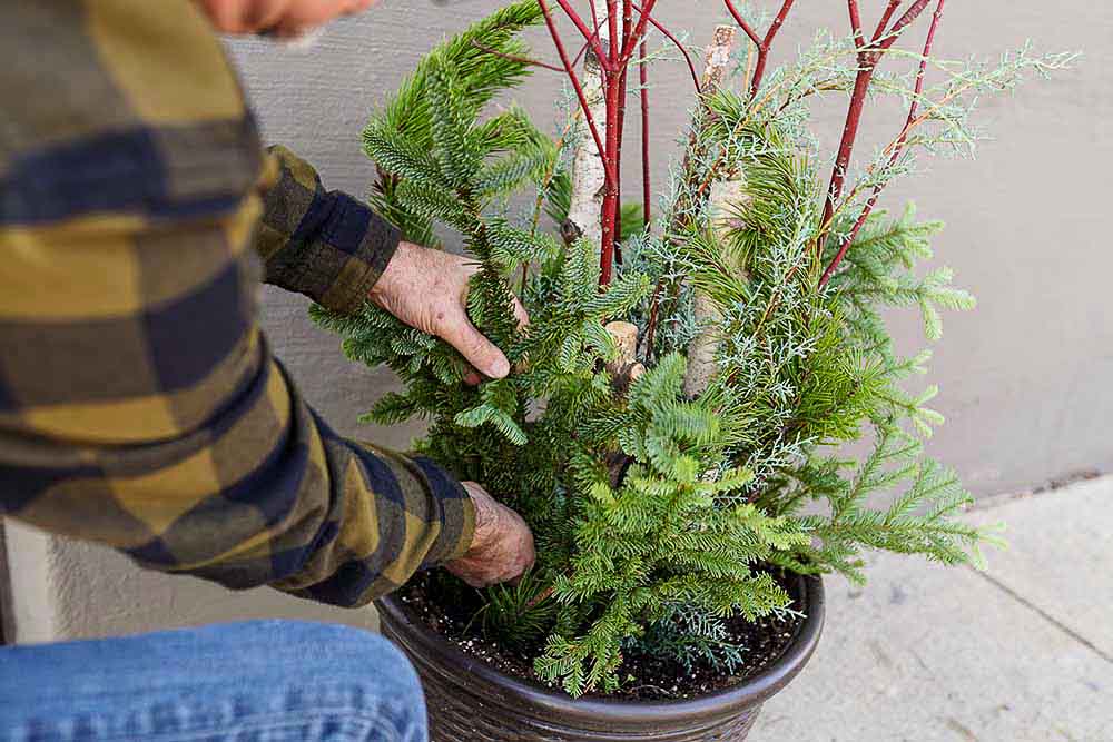 Creating Winter Porch Greenery