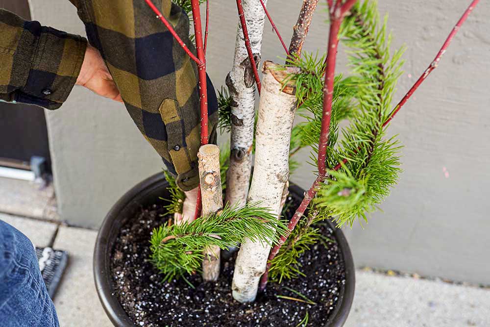 How To Create a Festive Winter Greenery Arrangement - Board and Brush