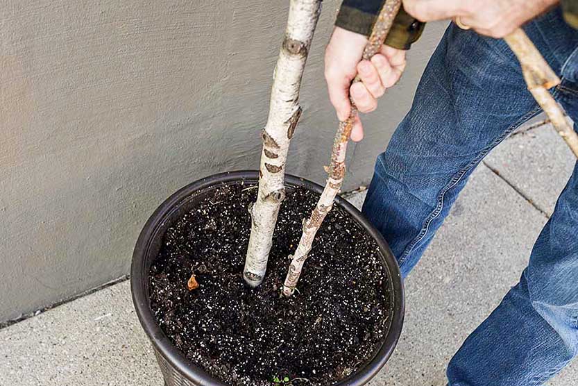 Creating Winter Porch Greenery